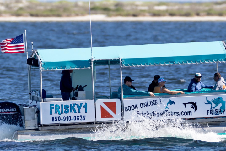 A pensacola beach snorkel tour