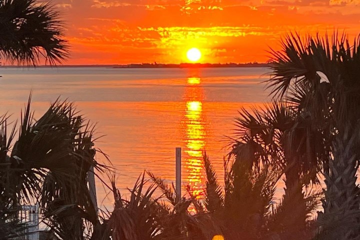 Shaggy’s Restaurant