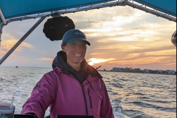 Private sunset dolphin cruise open year round