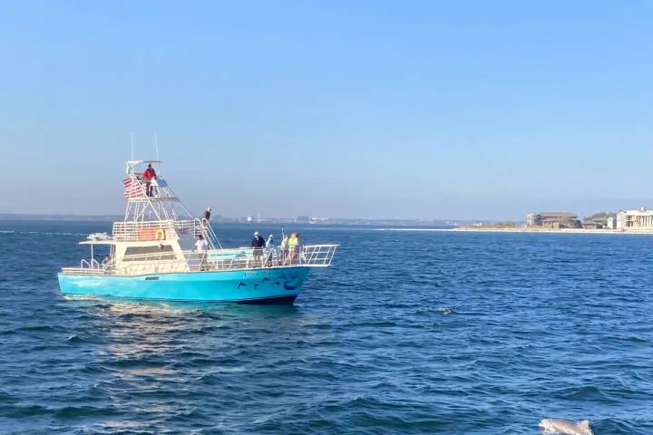 Dolphins jump in front of Frisky Mermaid