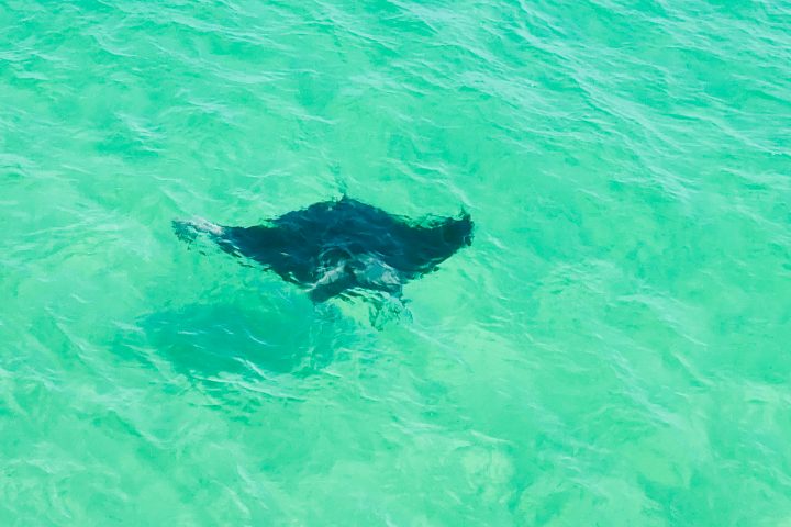 Secluded beaches in Florida gulf coast