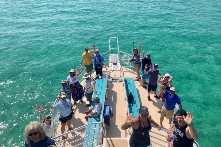 Best dolphin tour Friskyboattours.com