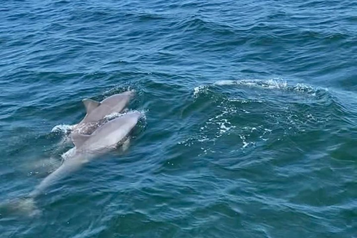 Things to do near me