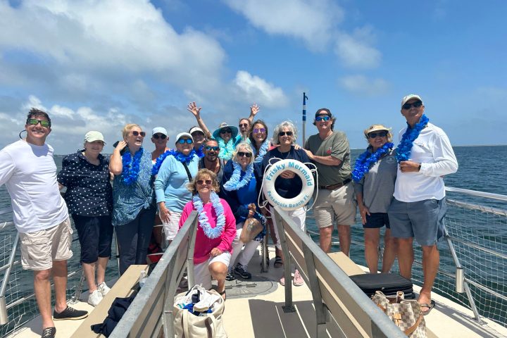 What to do in pensacola