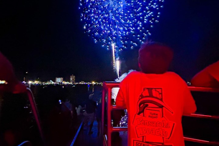Young man looks out to the bay on a Fireworks Cruise