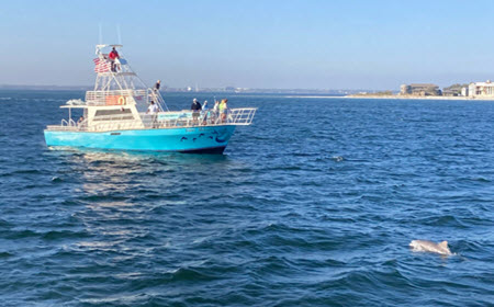 Public Dolphin and Scenic Bay Sightseeing Tour aboard the Frisky Mermaid in Pensacola Beach