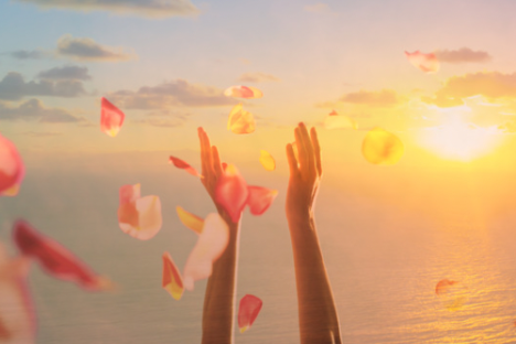 Family members throw rose petals at burial at sea