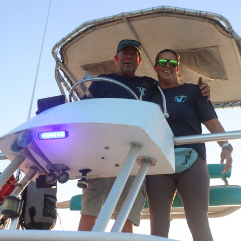 Dolphin cruise near me