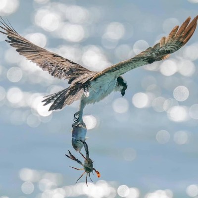 Attractions near Pensacola fl