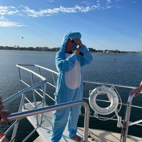 Dolphin cruises open today