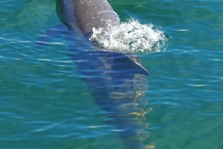 Sunset cruise pensacola fl