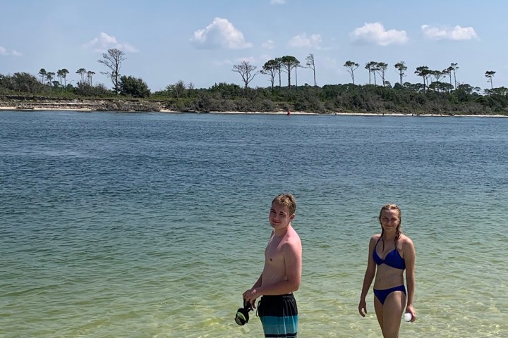 Dolphin cruise Navarre beach