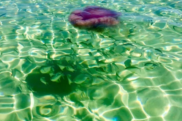 a pool next to a body of water