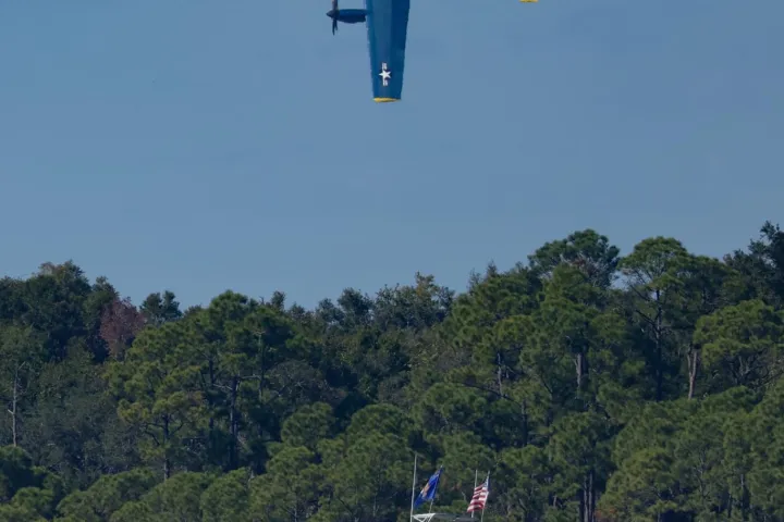 Dolphin cruise and the blue angels