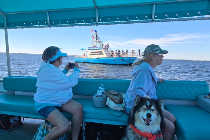 Guests relax on a pontoon boat with a happy dog while spotting a dolphin tour vessel on Pensacola Bay