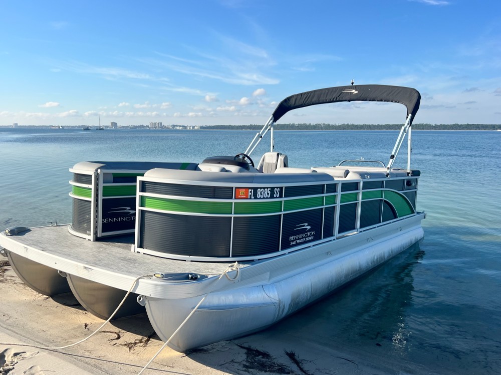Pontoon boat with green trim docked on sandy shore, calm water, and distant skyline.