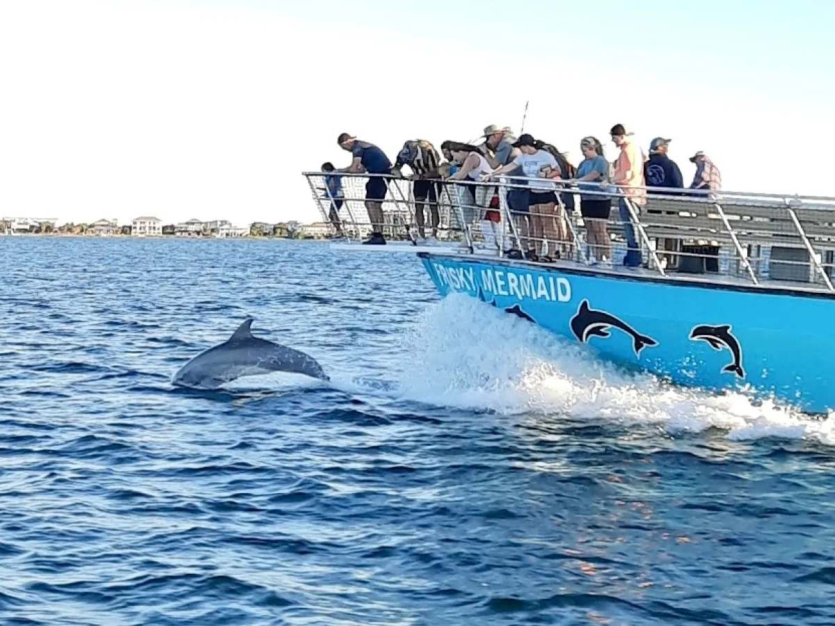 Pensacola dolphin cruise