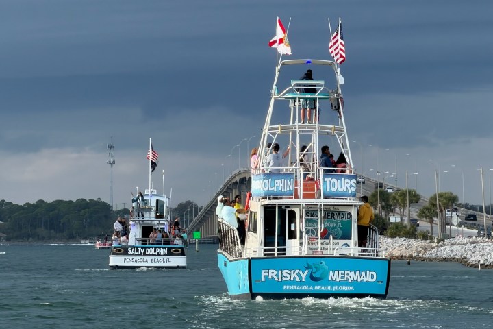 Two dolphin tour boats on water with bridge and cloudy sky in background.