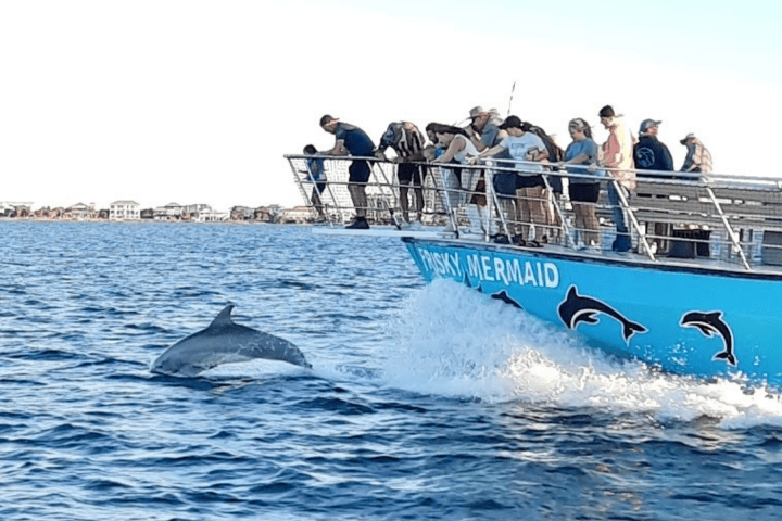 People on a boat watch a dolphin swimming nearby in the Santa Rosa Sound.