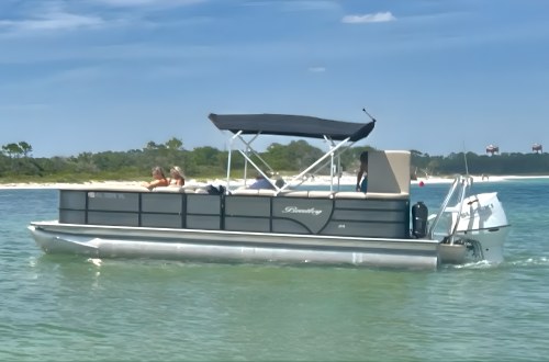 Pontoon boat with people on calm water near a shoreline.