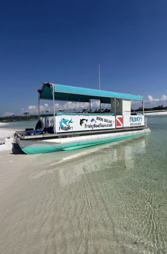 Tour boat with blue canopy on clear shallow beach water.